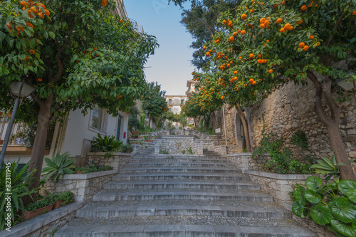 Street in Taormina with orange trees on the side Sicily  Italy