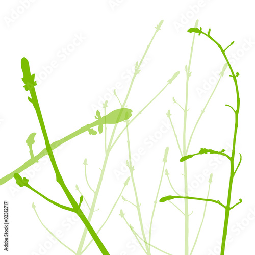 Spring buds, gentle leaves and branches vector background ecolog