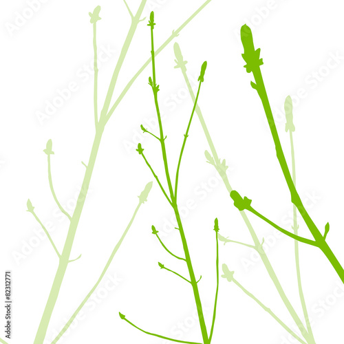Spring buds, gentle leaves and branches vector background ecolog