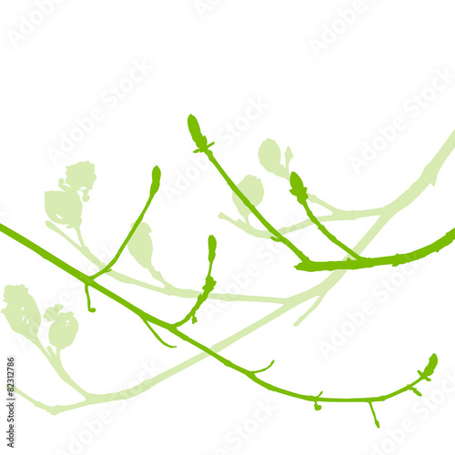 Spring buds, gentle leaves and branches vector background ecolog