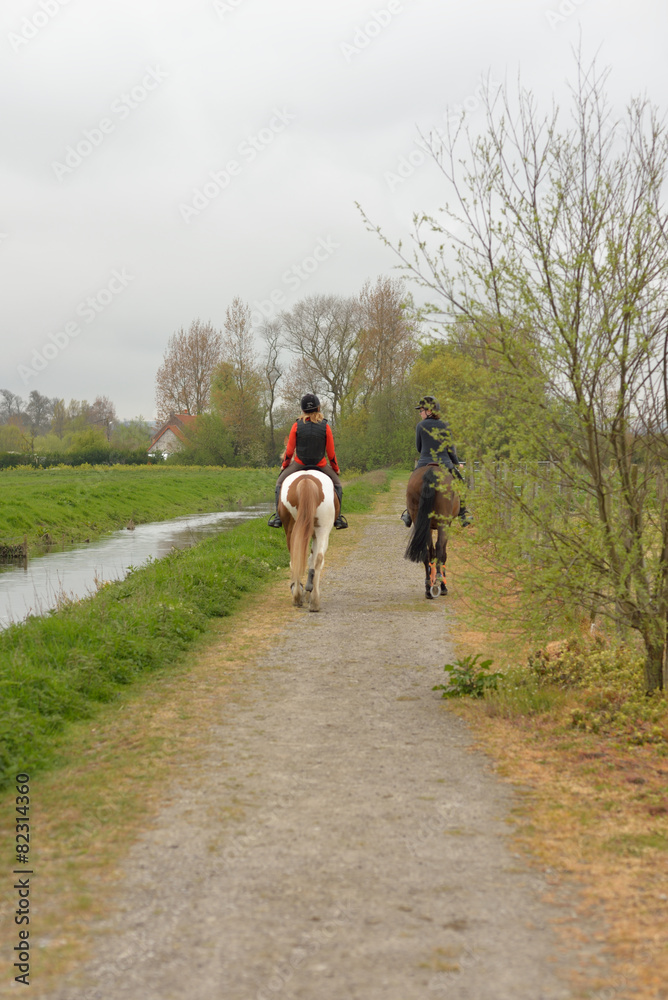 Fototapeta premium balade à cheval