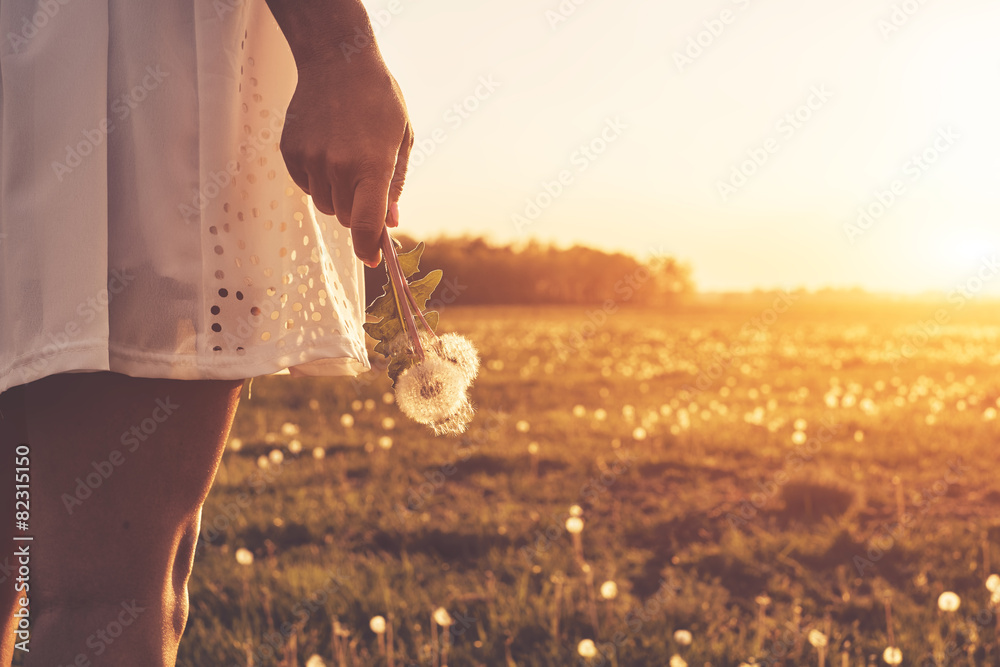 Fototapeta premium Dandelion on woman hand