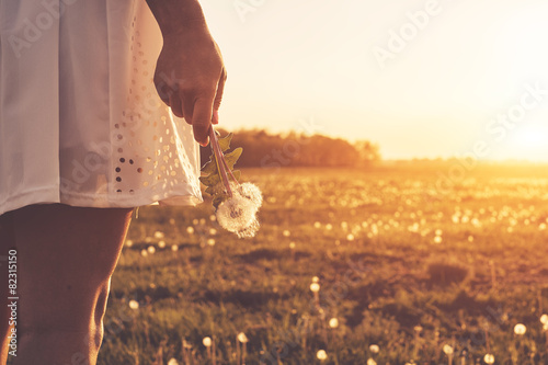 Dandelion on woman hand
