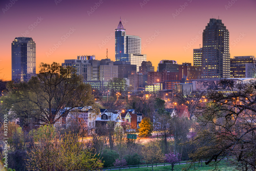 Raleigh, North Carolina, USA Skyline - obrazy, fototapety, plakaty 