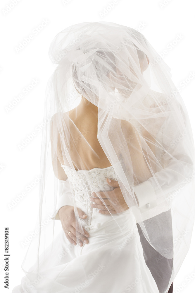 Bride and Groom Covered Veil, Wedding Couple Kissing, Back Rear Bride and Groom Covered Veil, Wedding Couple Kissing, Back Rear