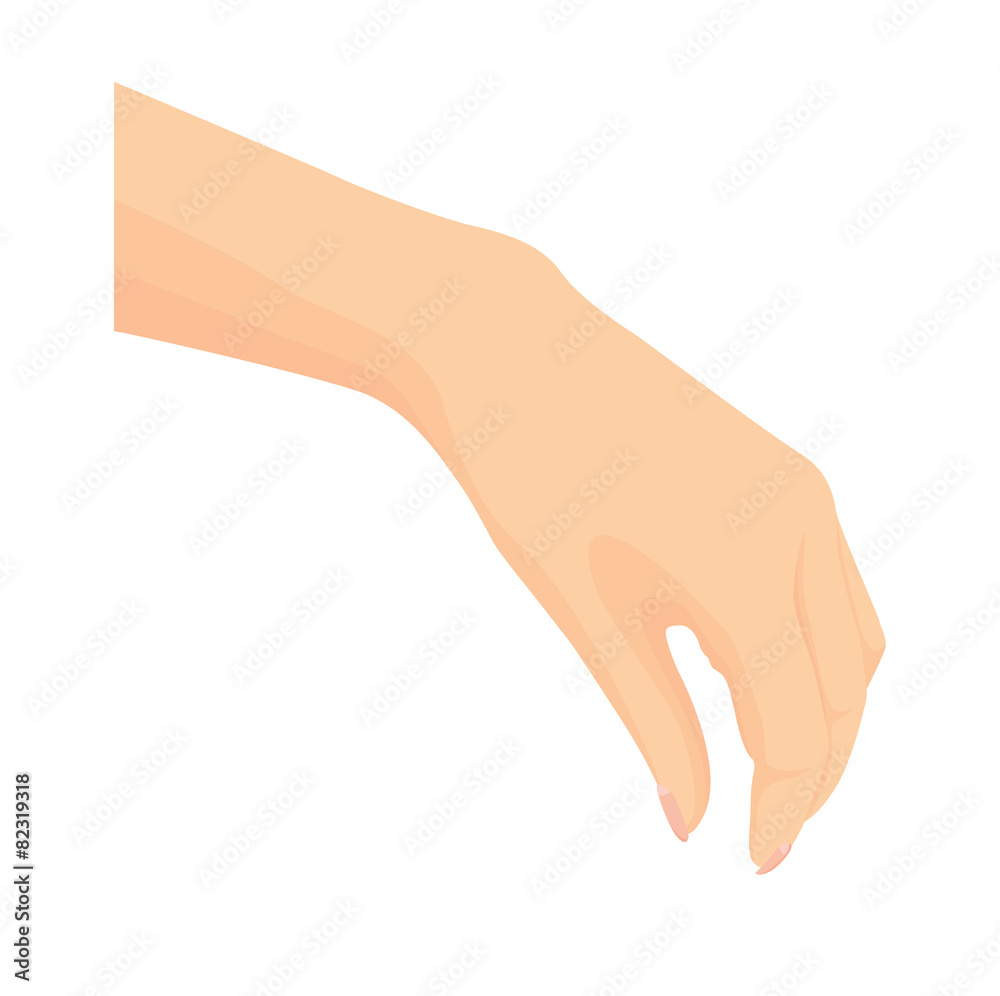 Vector of beautiful Woman's hand isolated on white background
Vector of beautiful Woman's hand isolated on white background