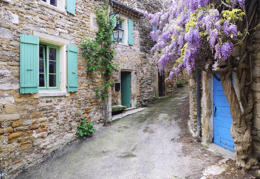 Village of Provence: cascading purple wisteria vine