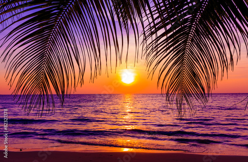 Beautiful sunset. Sunset over the ocean with tropical palm tree