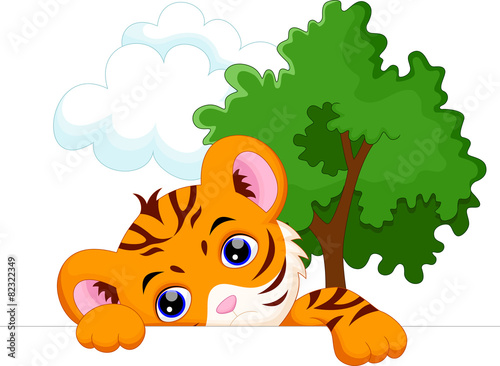 Fototapeta Naklejka Na Ścianę i Meble -  Cat and tiger cartoon