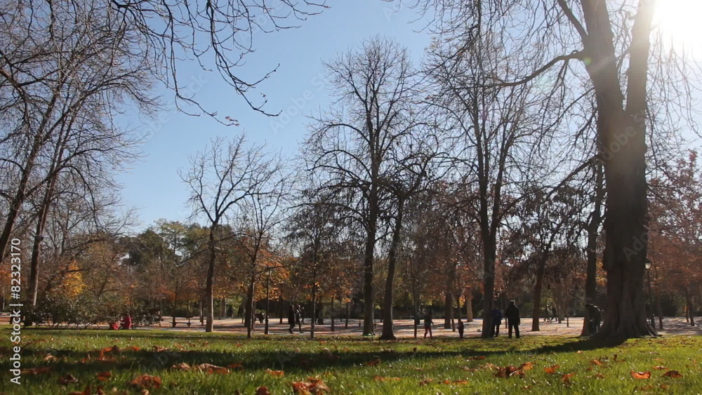 People spending their sunny autumn weekend in the park People spending their sunny autumn weekend in the park