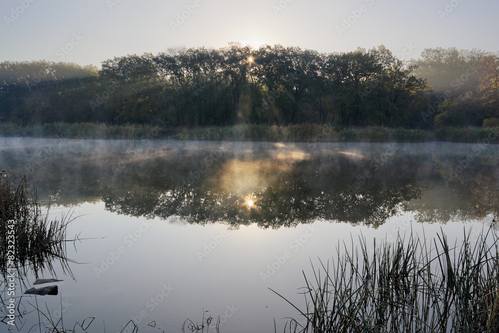 Fototapeta premium Sunlight rays