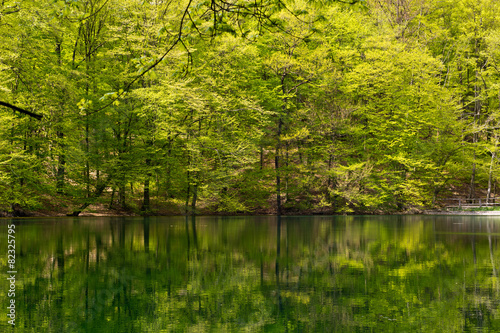 Emerald lake © Wojciech Bobrowicz
