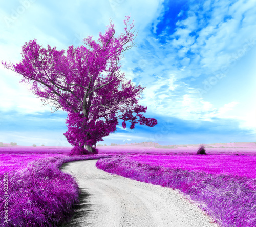 Surrealistyczny krajobraz Drzewo i droga między polami