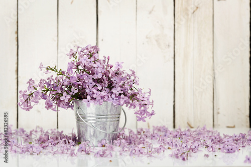 lilac flowers