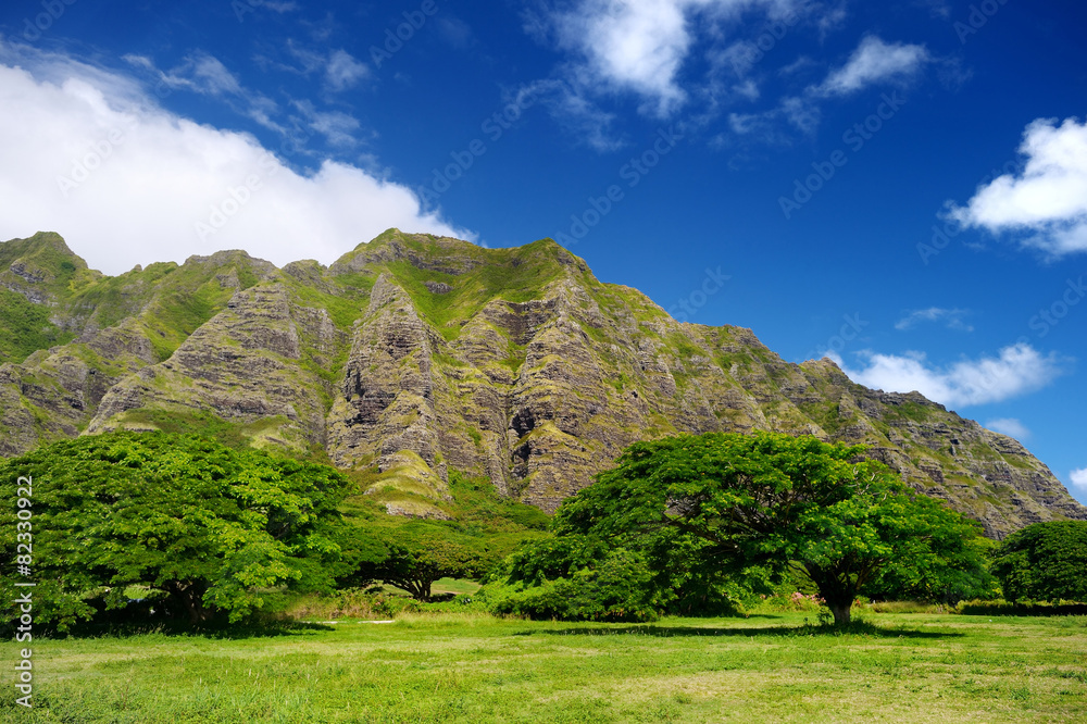 Cliffs and trees of Kualoa Ranch, Oahu Cliffs and trees of Kualoa Ranch, Oahu