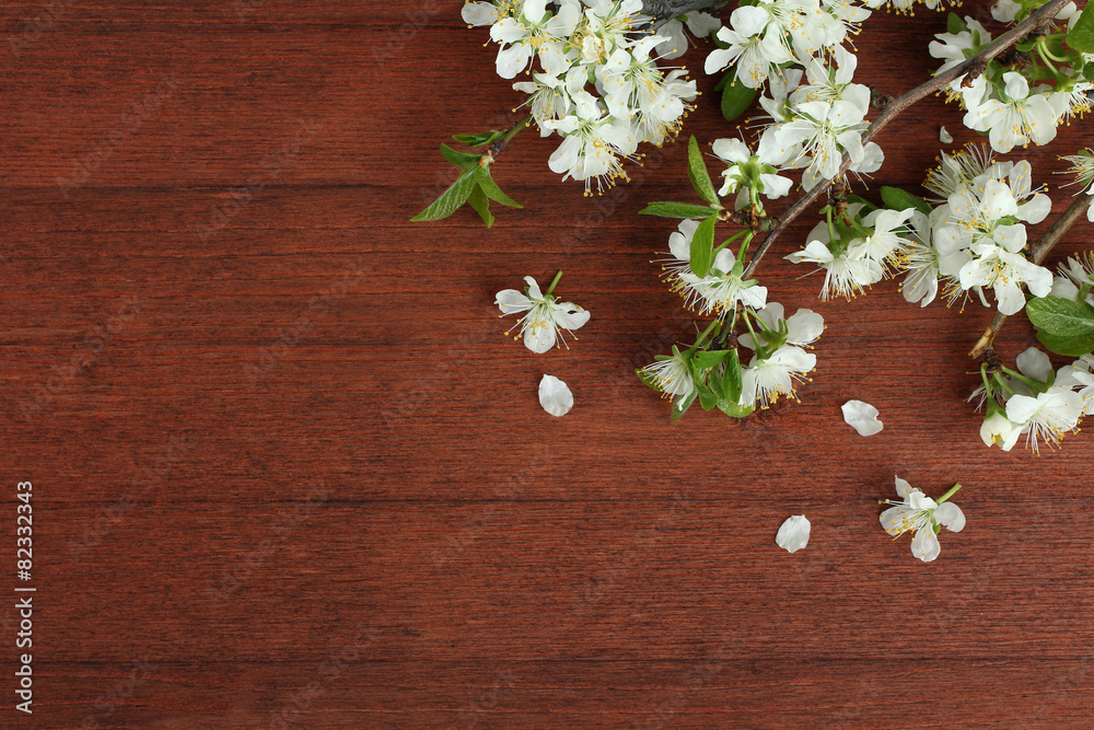 Spring cherry blossoms on a wooden background