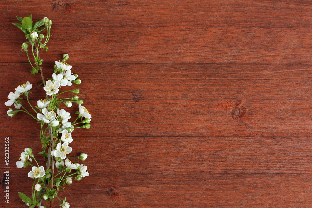 Spring cherry blossoms on a wooden background Spring cherry blossoms on a wooden background