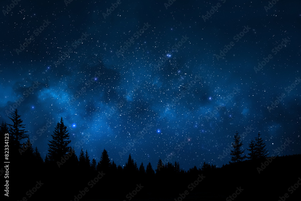 Naklejka premium Night sky with trees