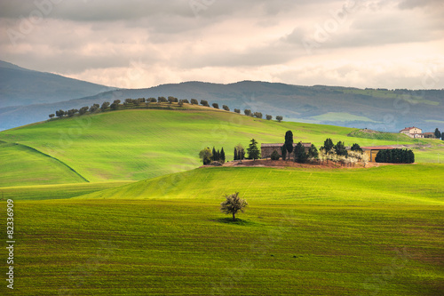 Green spring field in the countryside of Tuscany, Italy © Jarek Pawlak