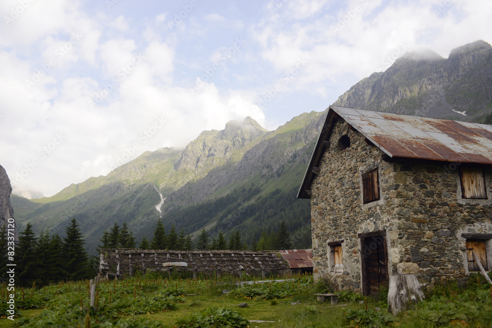 Malga in Val Fleons