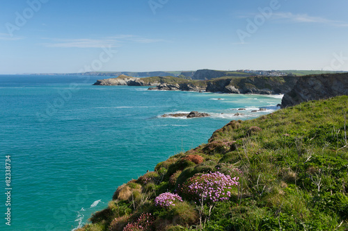 Coast at Newquay Cornwall pink flowers in spring © acceleratorhams