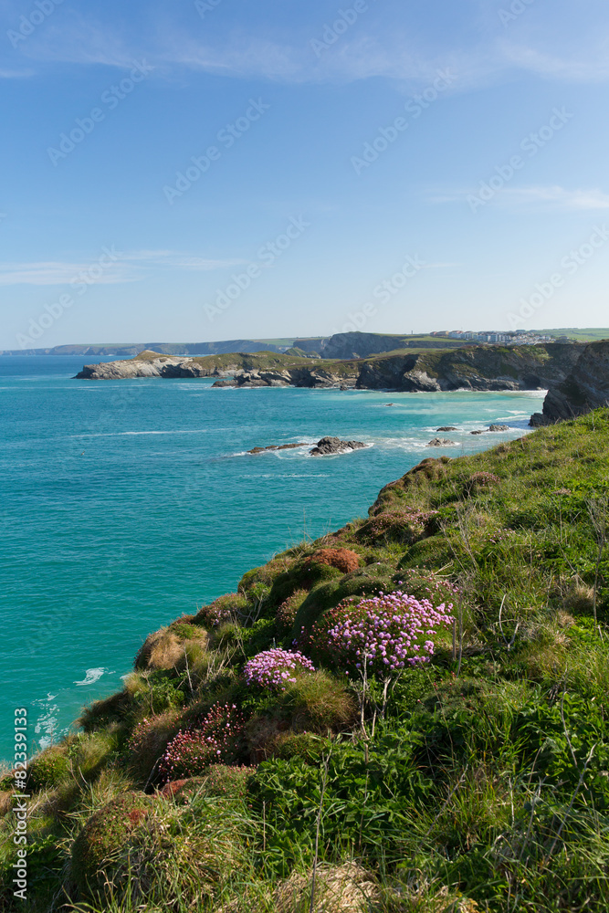Coast at Newquay Cornwall pink flowers in spring