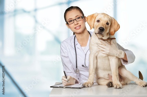 Veterinarian. Vet using technology with a little dog - isolated