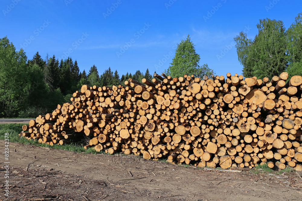 Harvesting timber logs