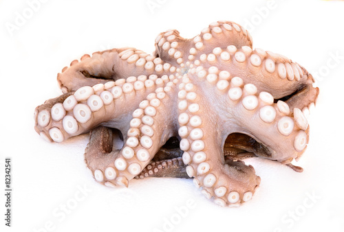 Octopus defrozed