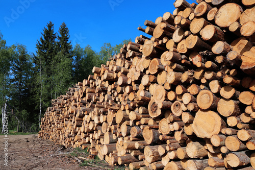 Harvesting timber logs