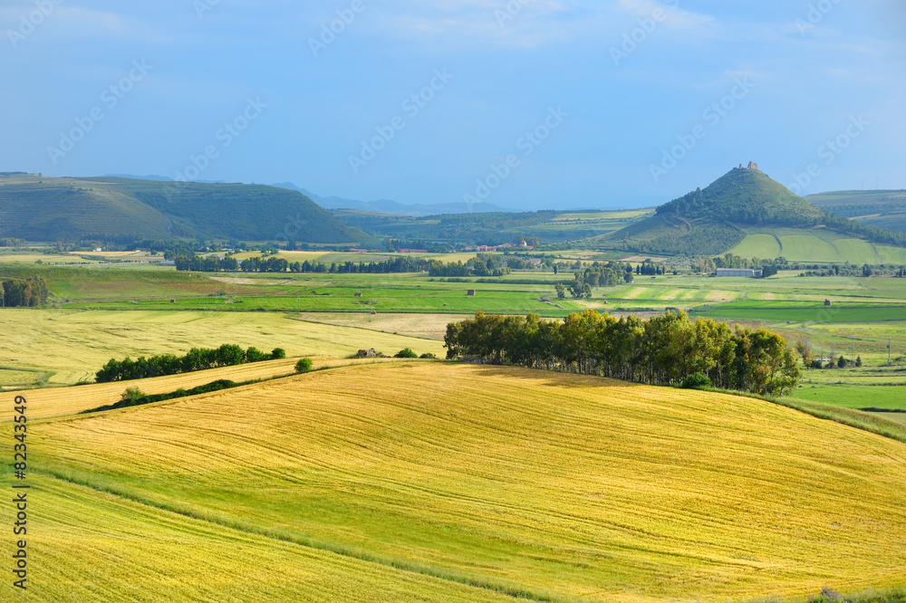 Fototapeta premium Scenic landscape of meadow in Sardinia