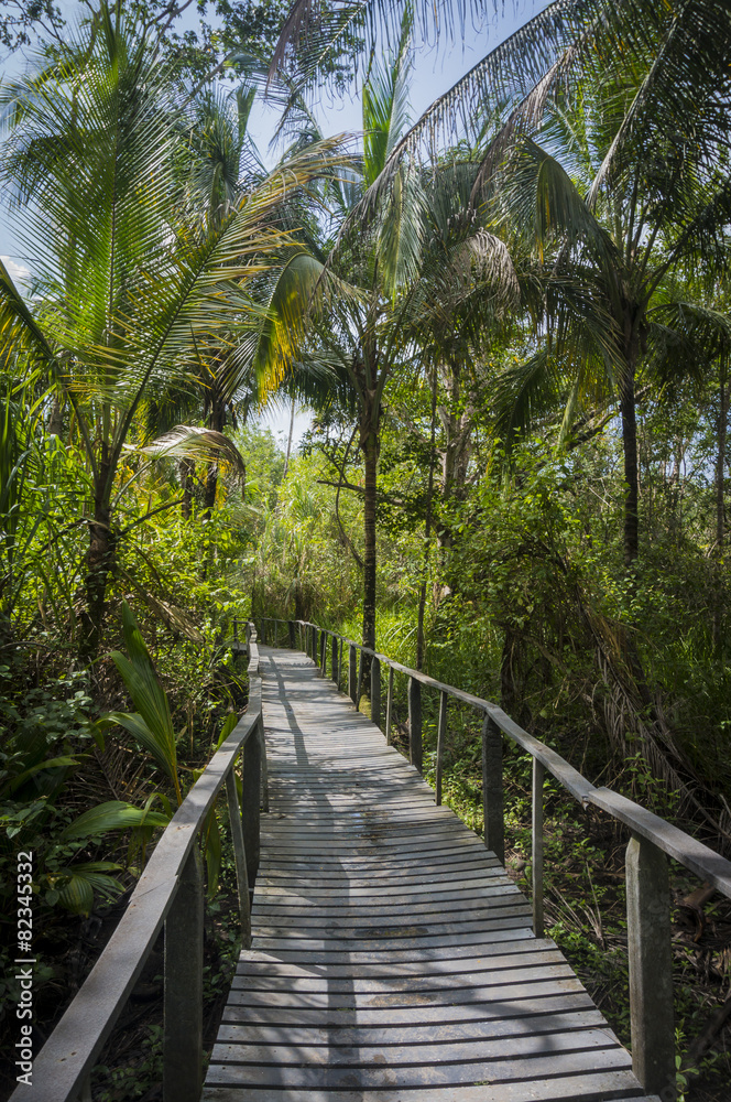 Obraz premium Sendero Trail Cahuita