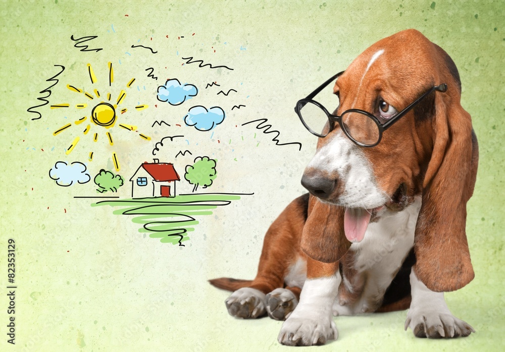 Fototapeta premium Dog. Smart dog
