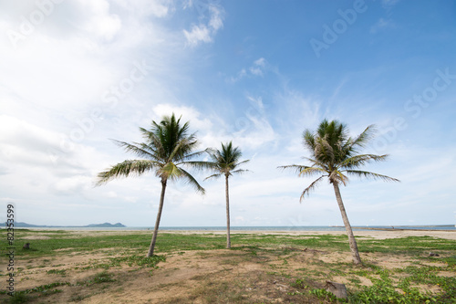 An image of three nice palm trees in the blue sky with some clou