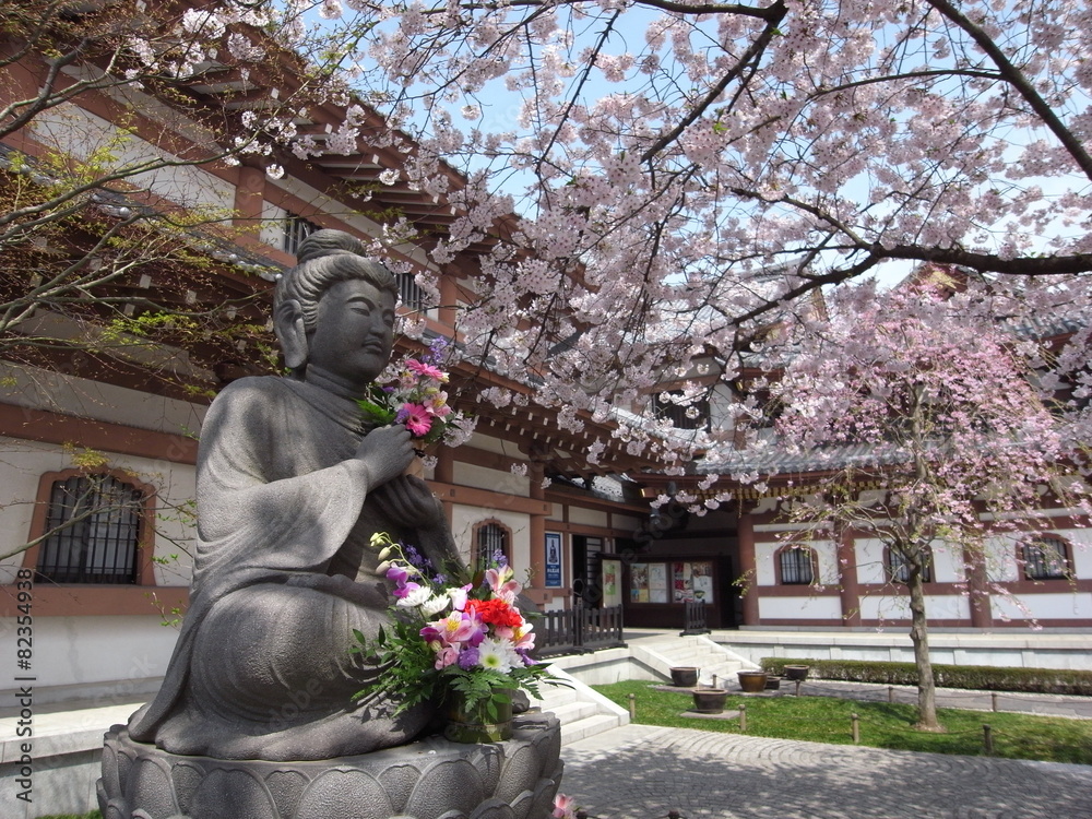 Obraz premium 鎌倉 長谷寺