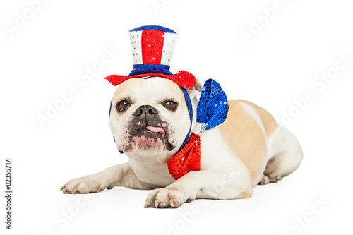 Fototapeta Naklejka Na Ścianę i Meble -  Independence Day Bulldog With Tongue Hanging Out