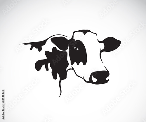 Vector image of an cow on white background