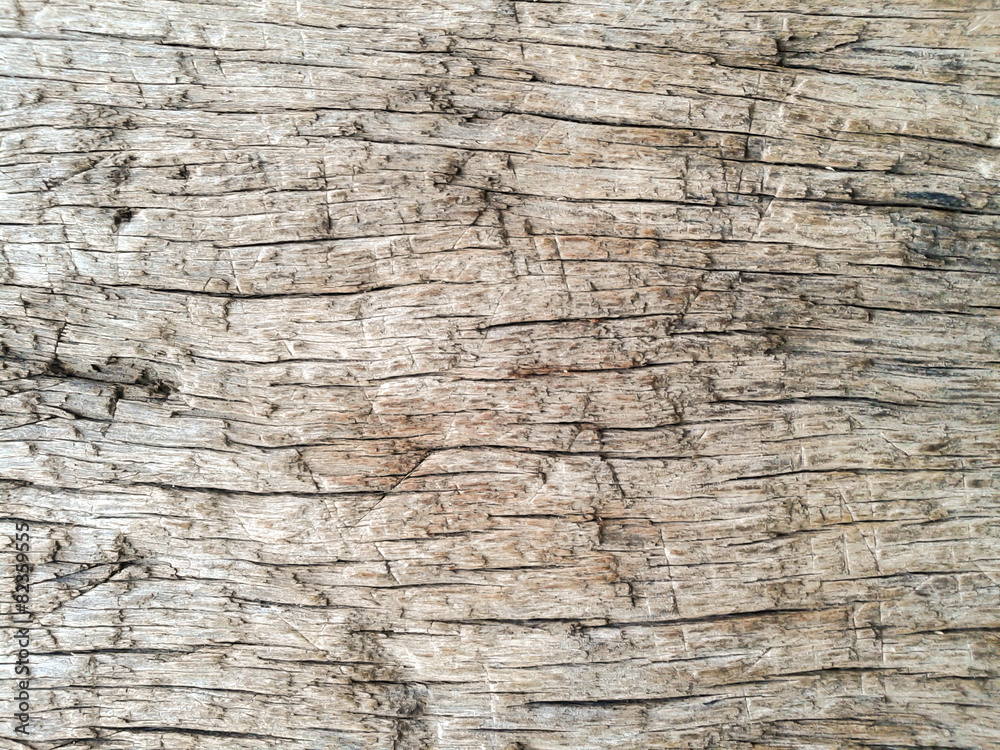 Old grunge dark textured wood background Old grunge dark textured wood background