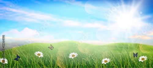 Beautiful spring meadow