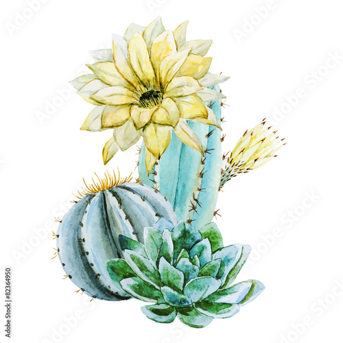 Watercolor cactus