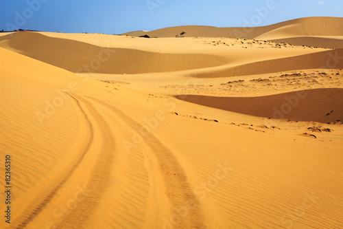 car tracks in desert