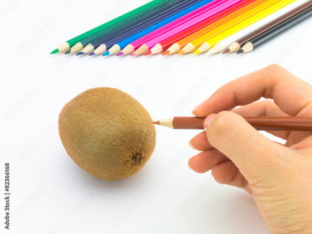 Naklejka premium Drawing Kiwi