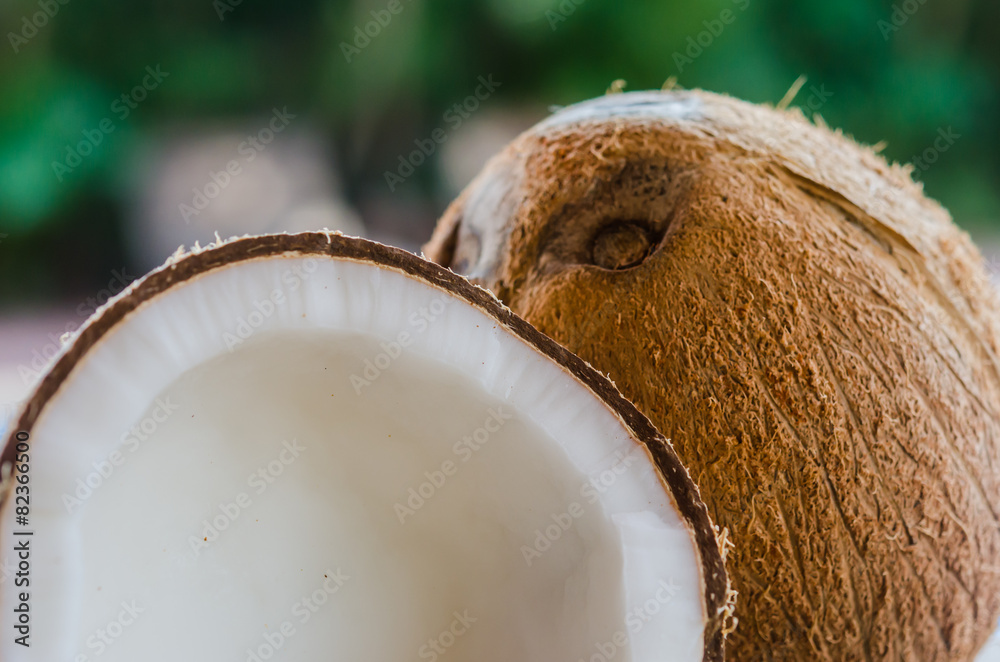 Coconuts Coconuts