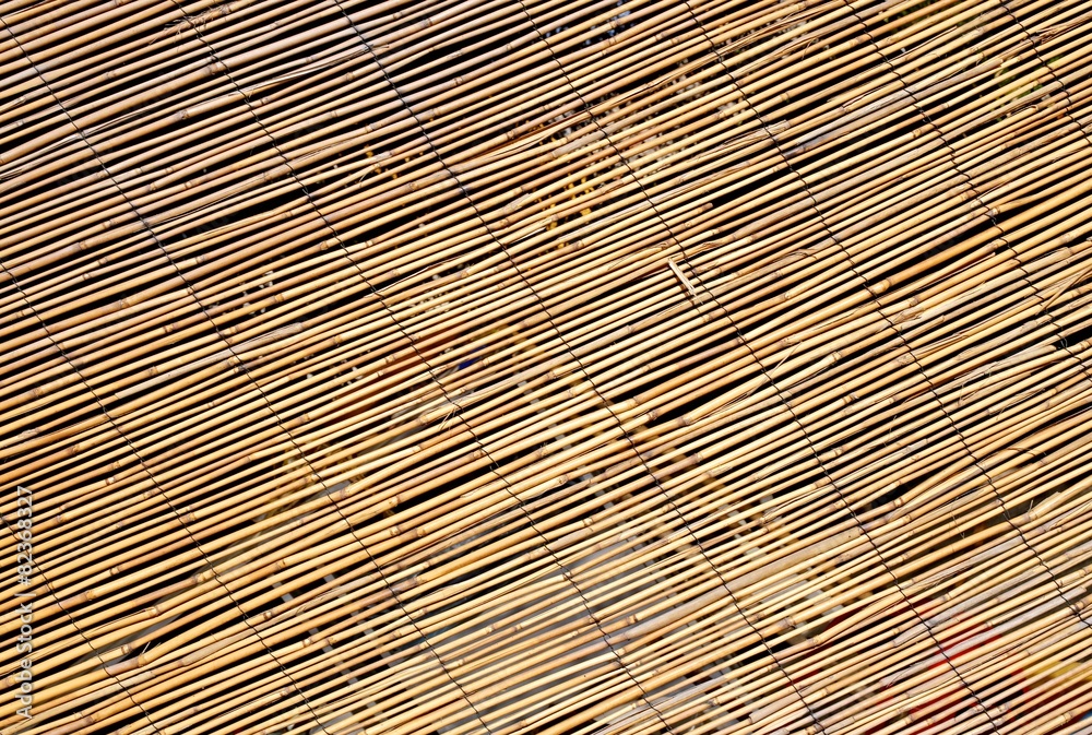 Fototapeta premium abstract background of large bamboo canes entwined with each oth