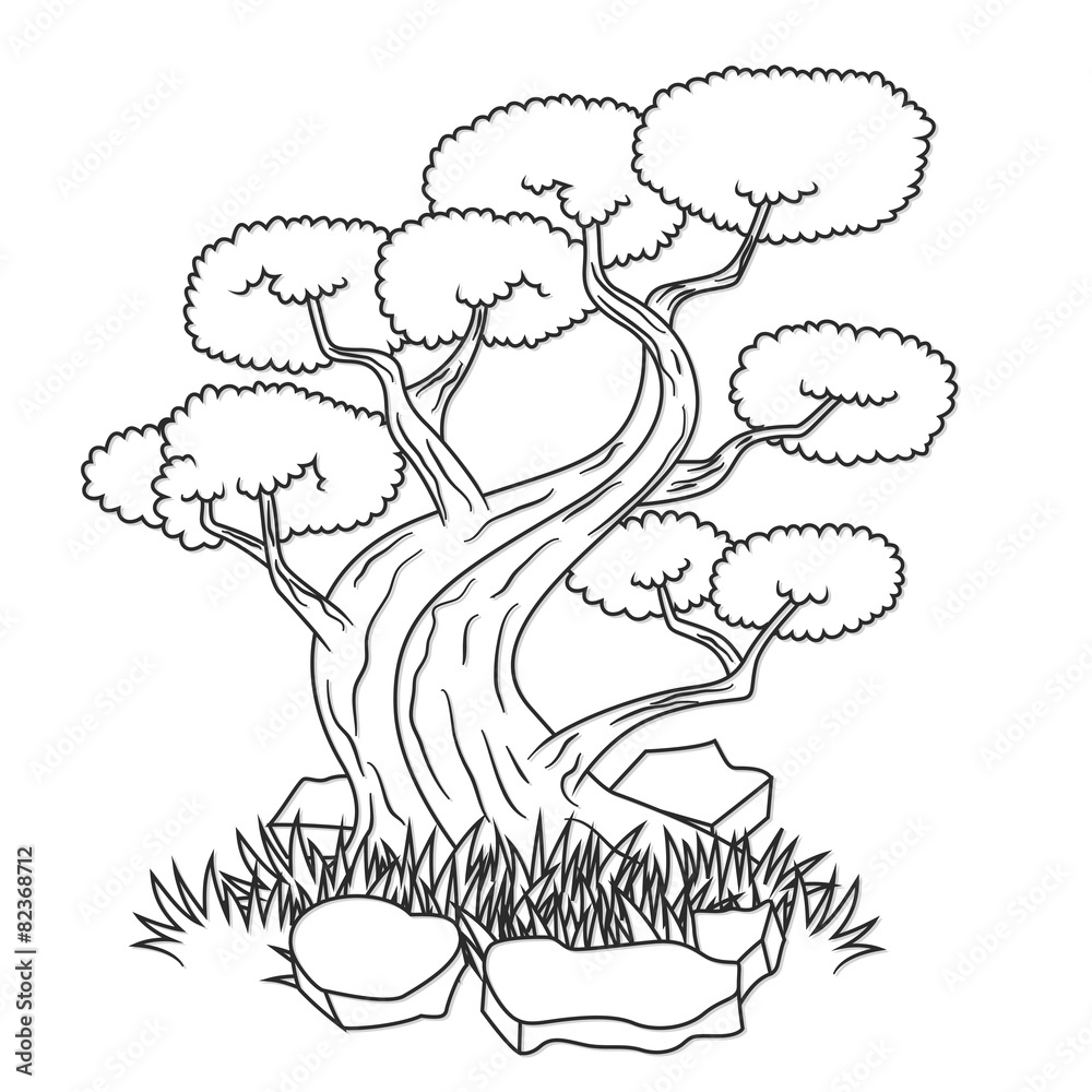 Beautiful Bonsai Tree Isolated Outline, Vector Illustration