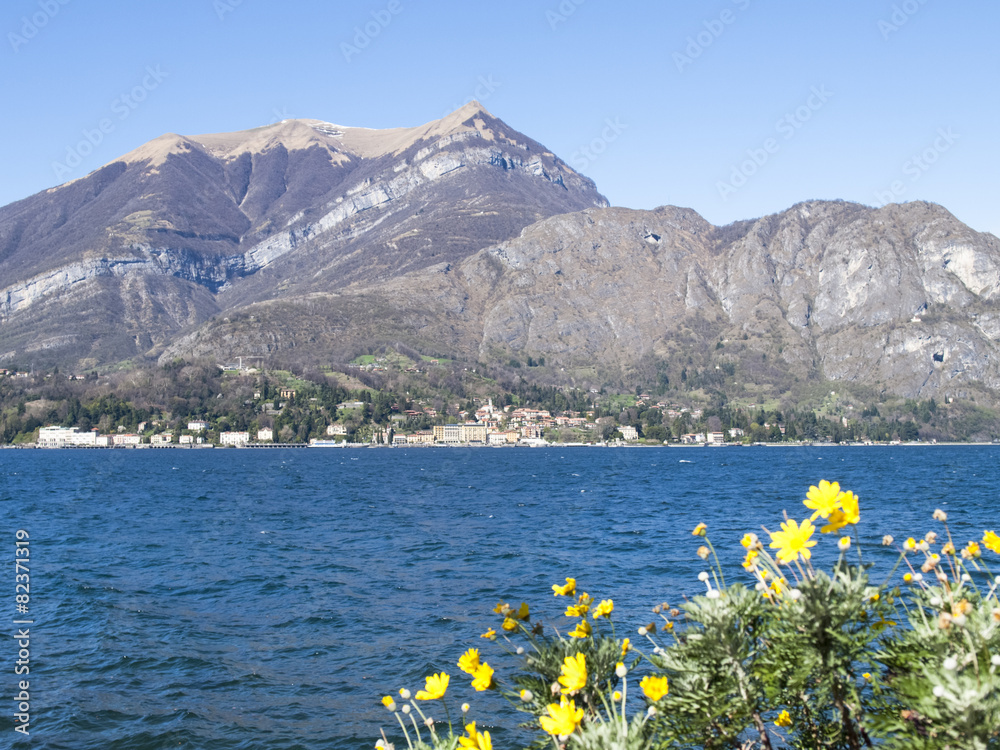 View of Cadenabbia and mountain Tremezzo
