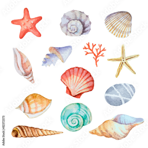 Watercolor set of seashells
