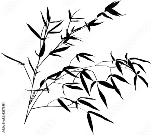 bamboo large black branch isolated on white