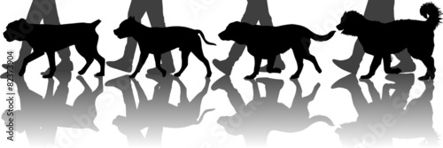 Dogs training