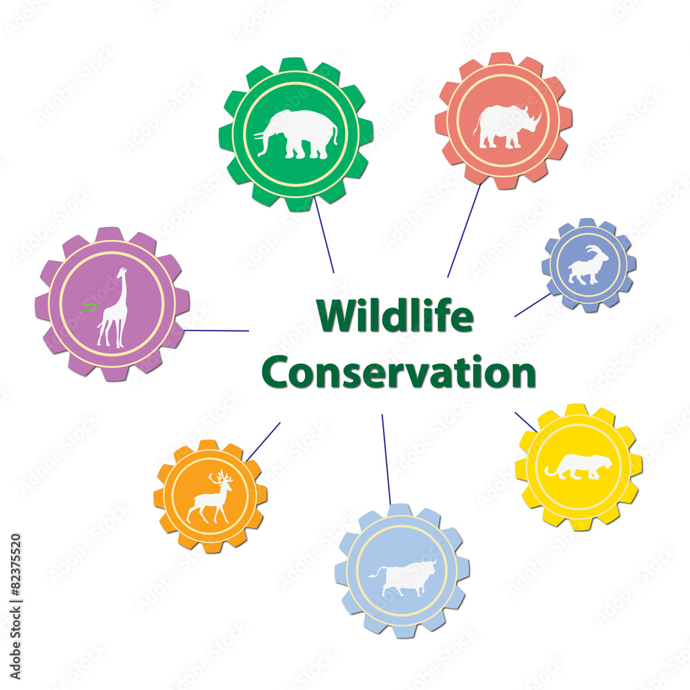 Fototapeta premium Conservation of the wildlife